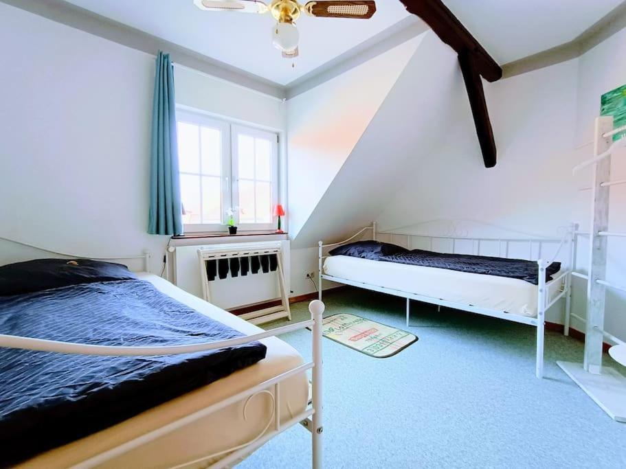Ruhiges Exzellenz-Appartement Diana Im Elb-Urstromtal - Fast Wlan, Good For Long-Terms Bleckede Zewnętrze zdjęcie