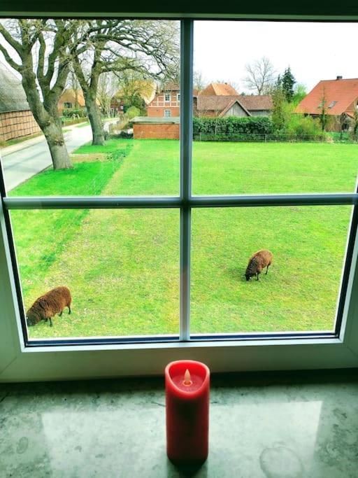 Ruhiges Exzellenz-Appartement Diana Im Elb-Urstromtal - Fast Wlan, Good For Long-Terms Bleckede Zewnętrze zdjęcie