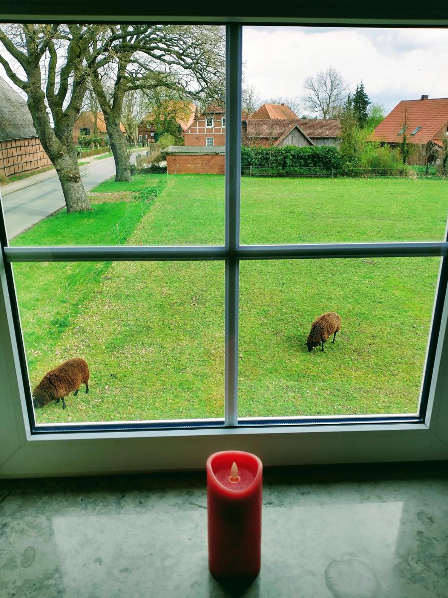 Ruhiges Exzellenz-Appartement Diana Im Elb-Urstromtal - Fast Wlan, Good For Long-Terms Bleckede Zewnętrze zdjęcie